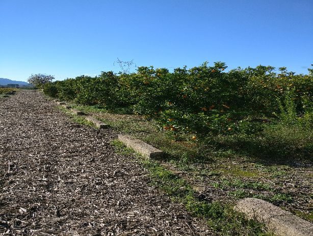 Venta de Terrenos en Montesa