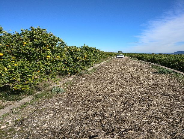 Venta de Terrenos en Montesa
