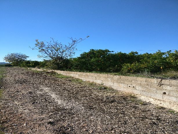 Venta de Terrenos en Montesa