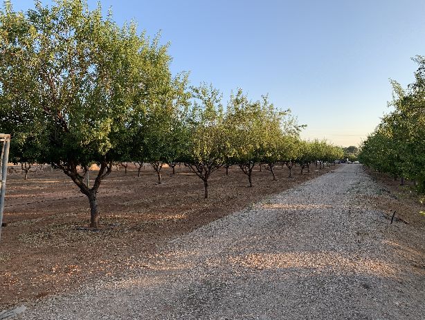 Venta de Terrenos en Canals