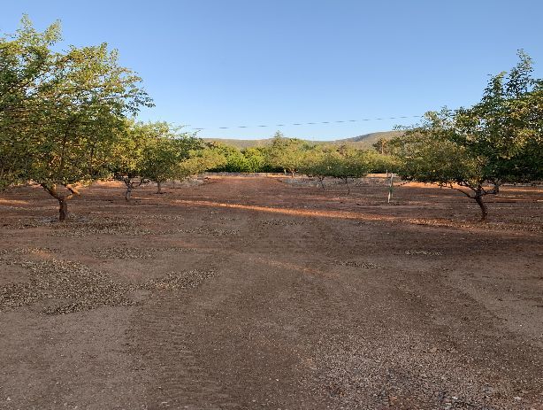 Venta de Terrenos en Canals