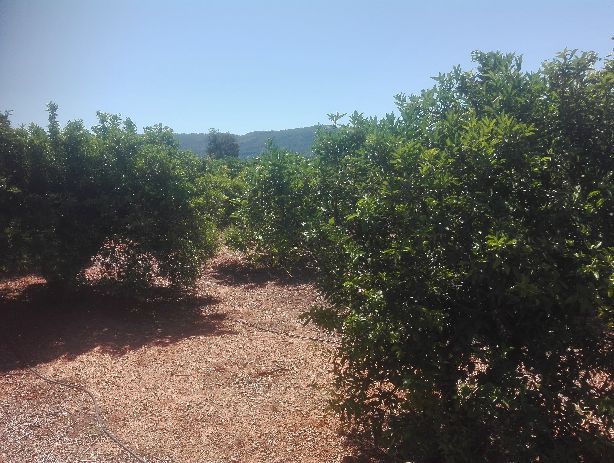 Venta de Terrenos en Canals