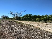 Terrenos en Montesa