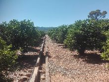 Terrenos en Canals