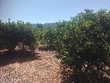 Terrenos en Canals